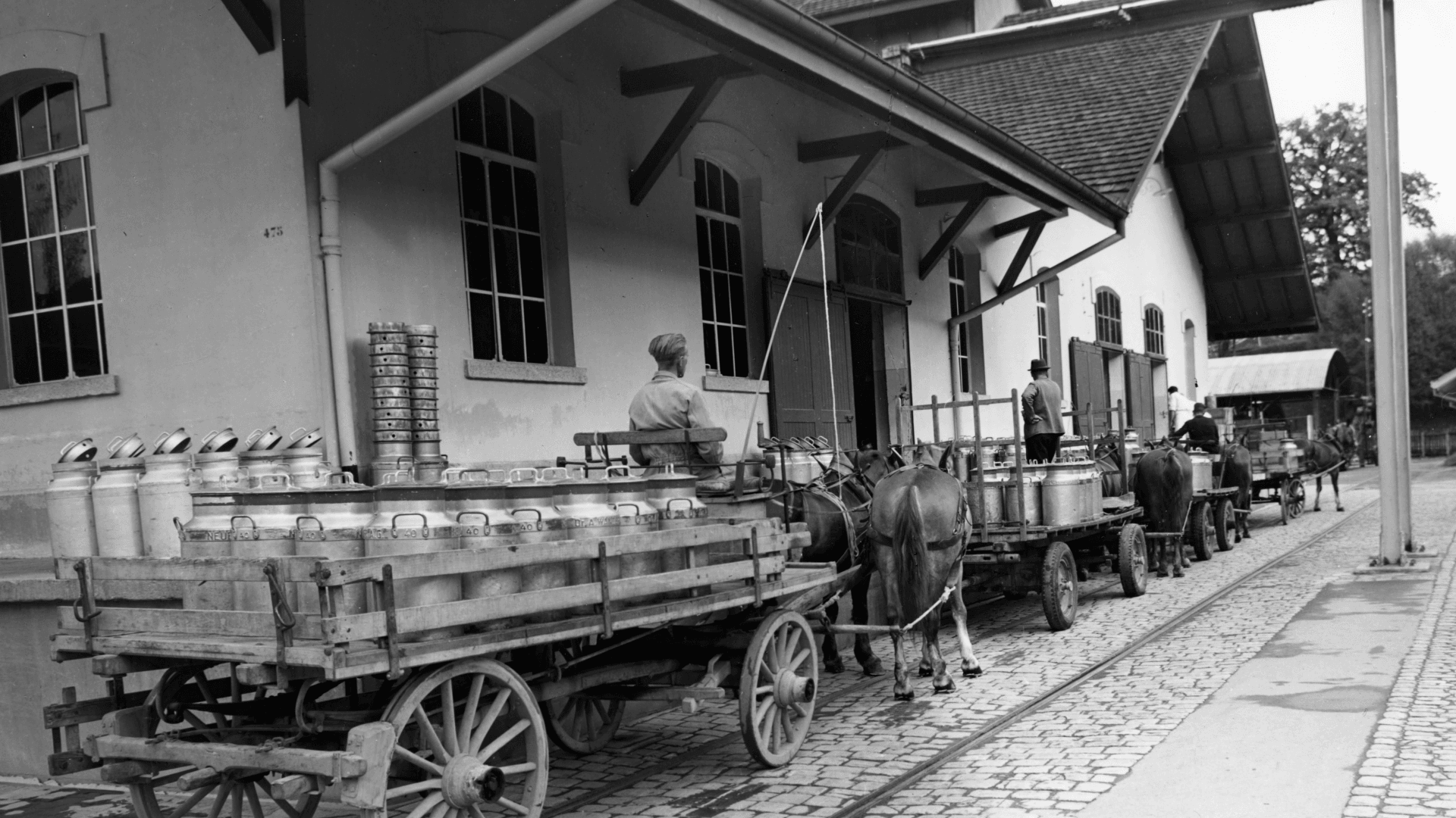 Milk delivery from nearby farms